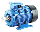 Двигатель аппарата CP-MBM280 Crazy Pan CP-SP-MBM280MTR в компании ШефСтор